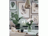 怎样利用盆栽装饰单调客厅？