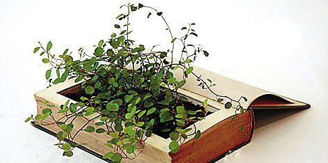 搞怪家居装饰品 5款有趣的创意花盆